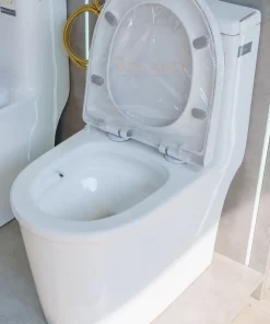 Bồn Cầu Một Khối Roland 3604 - 18 Bồn Cầu Một Khối Roland 3604 - 17