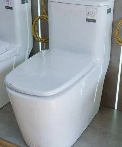 Bồn Cầu Một Khối Roland 2873 - 16 Bồn Cầu Một Khối Roland 2873 - 15