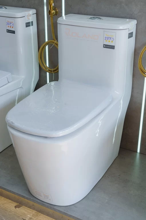 Bồn Cầu Một Khối Roland 2873 - 7