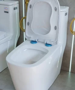 Bồn Cầu Một Khối Roland 2873 - 14 Bồn Cầu Một Khối Roland 2873 - 13