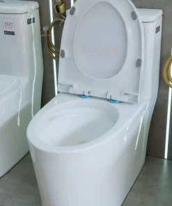 Bồn Cầu Một Khối Roland 3621 - 16 Bồn Cầu Một Khối Roland 3621 - 15