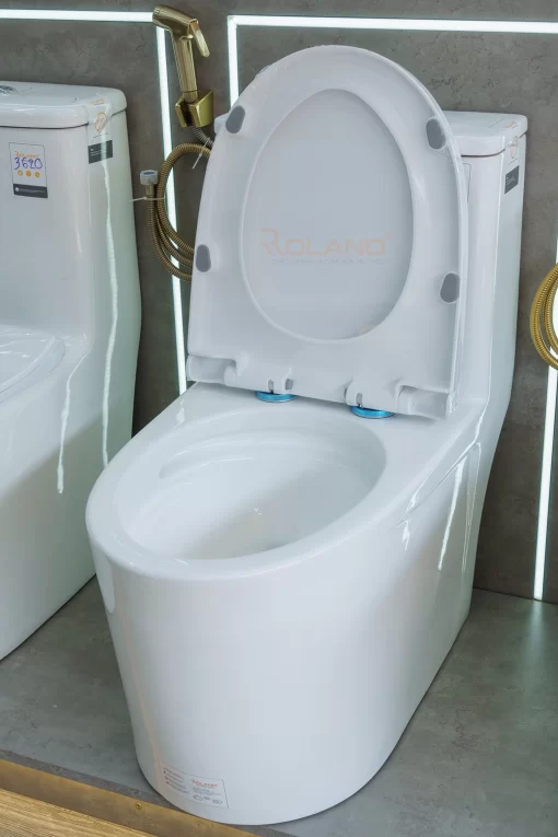 Bồn Cầu Một Khối Roland 3621 - 5
