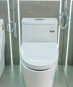 Bồn Cầu Một Khối Roland 3610 - 13