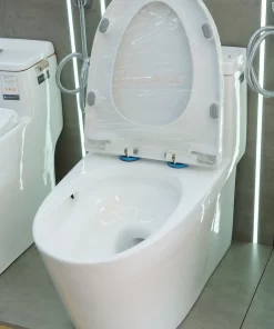 Bồn Cầu Một Khối Roland 3610 - 11