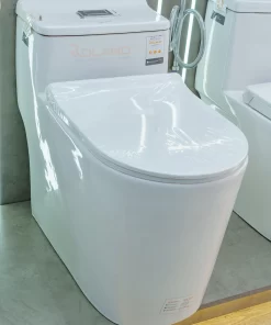 Bồn Cầu Một Khối Roland 2965 - 13