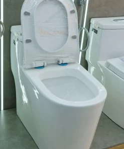 Bồn Cầu Một Khối Roland 2965 - 11