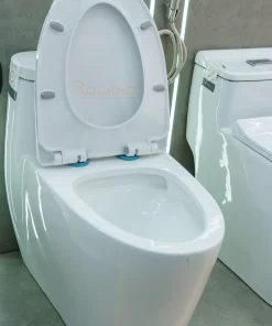 Bồn Cầu Một Khối Roland 3607 - 11