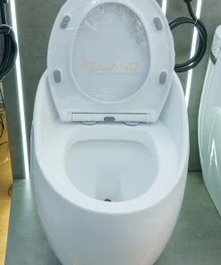 Bồn Cầu 1 Khối Roland X4 - 16 Bồn Cầu 1 Khối Roland X4 - 15