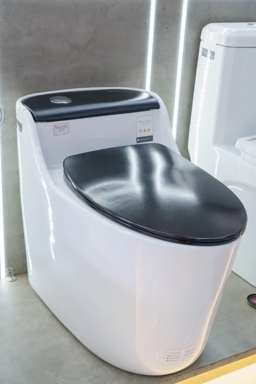 Bồn Cầu Một Khối Roland X1-G - 7