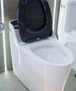 Bồn Cầu Một Khối Roland X1-G - 14 Bồn Cầu Một Khối Roland X1-G - 13