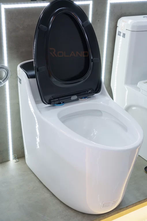 Bồn Cầu Một Khối Roland X1-G - 5