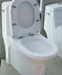 Bồn Cầu Một Khối Roland 2903 - 12 Bồn Cầu Một Khối Roland 2903 - 11