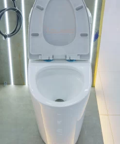 Bồn Cầu Một Khối Roland 2952 - 18 Bồn Cầu Một Khối Roland 2952 - 17