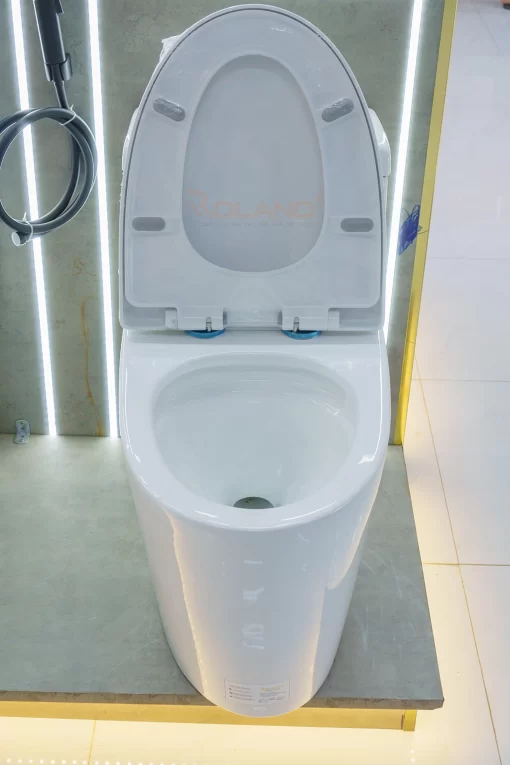 Bồn Cầu Một Khối Roland 2952 - 7