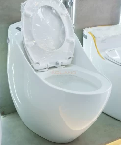 Bồn Cầu Một Khối Roland X7 - 18 Bồn Cầu Một Khối Roland X7 - 17