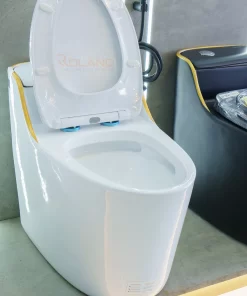 Bồn Cầu Một Khối Roland X1-H - 17