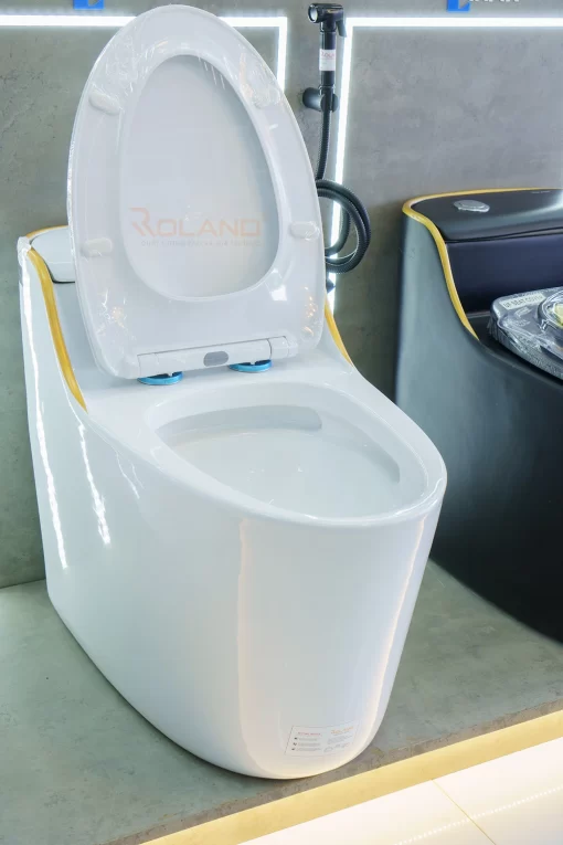 Bồn Cầu Một Khối Roland X1-H - 9