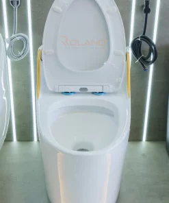 Bồn Cầu Một Khối Roland X1-H - 13