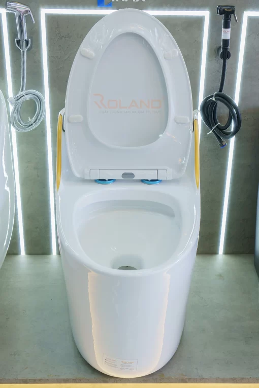 Bồn Cầu Một Khối Roland X1-H - 5