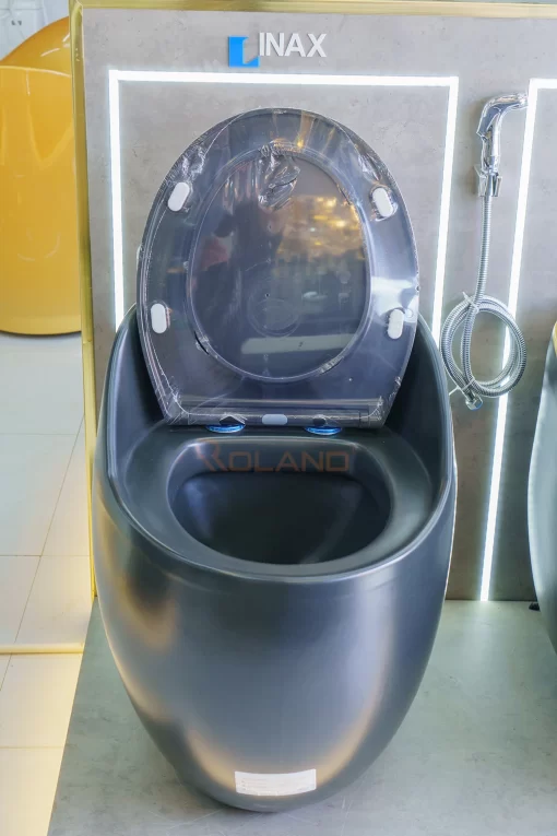 Bồn Cầu Một Khối Roland X136 - 3
