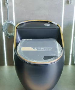 Bồn Cầu Một Khối Roland X5-L - 17