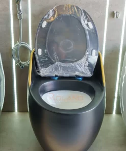 Bồn Cầu Một Khối Roland X5-L - 15