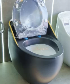 Bồn Cầu Một Khối Roland X5-L - 13