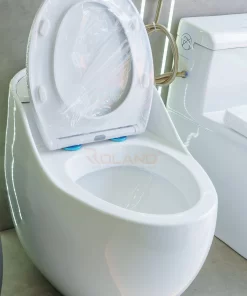 Bồn Cầu Một Khối Roland X5-A - 14 Bồn Cầu Một Khối Roland X5-A - 13