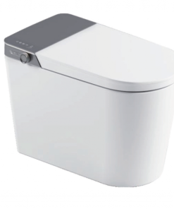 Bồn Cầu Điện Tử Roland DT1101GE-P