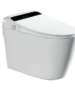 Bồn Cầu Điện Tử Roland DT82GE