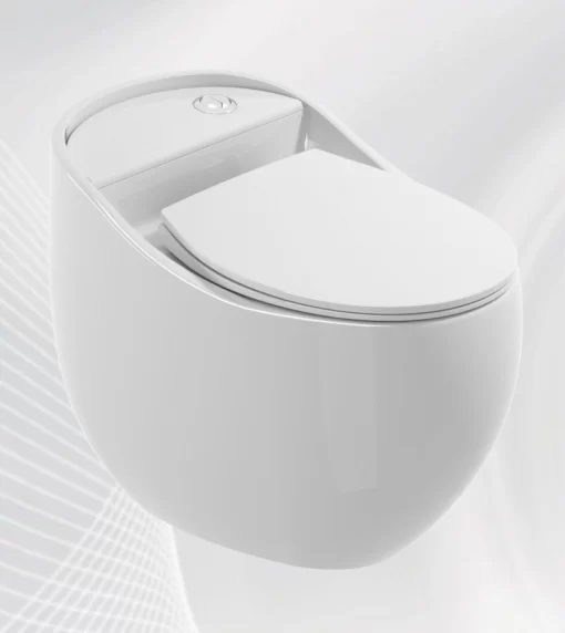 Bồn Cầu Một Khối Roland X5-A - 1