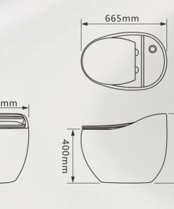 Bồn Cầu Một Khối Roland X5-L - 11
