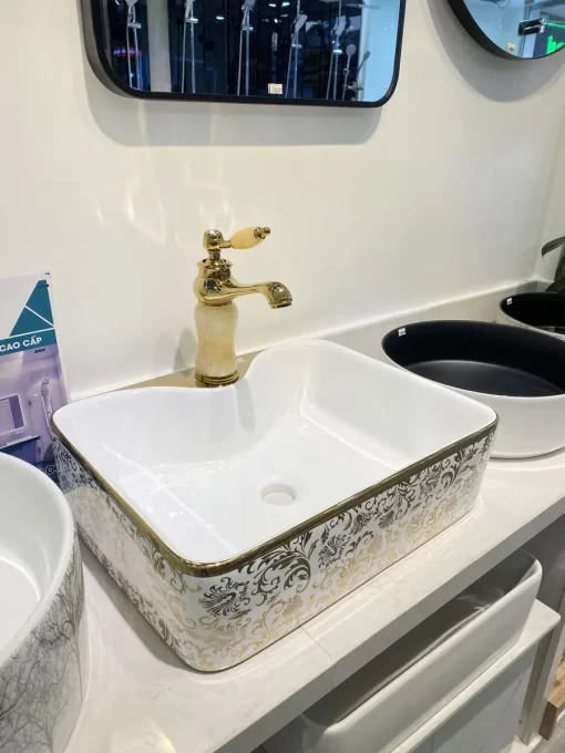 Tô Lavabo Sứ Roland TS18 - 5