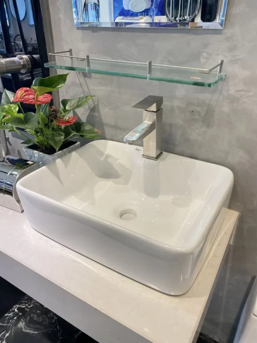 Tô Lavabo Sứ Roland TS21 - 5