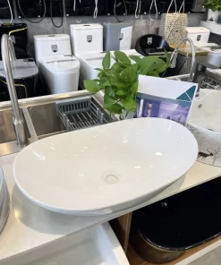 Tô Lavabo Sứ Roland TS26 - 9