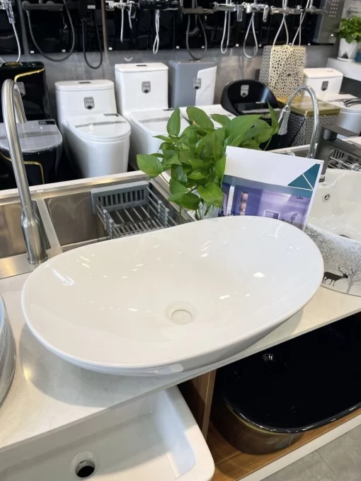 Tô Lavabo Sứ Roland TS26 - 5
