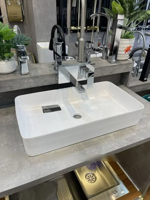 Tô Lavabo Sứ Roland TS13 - 5
