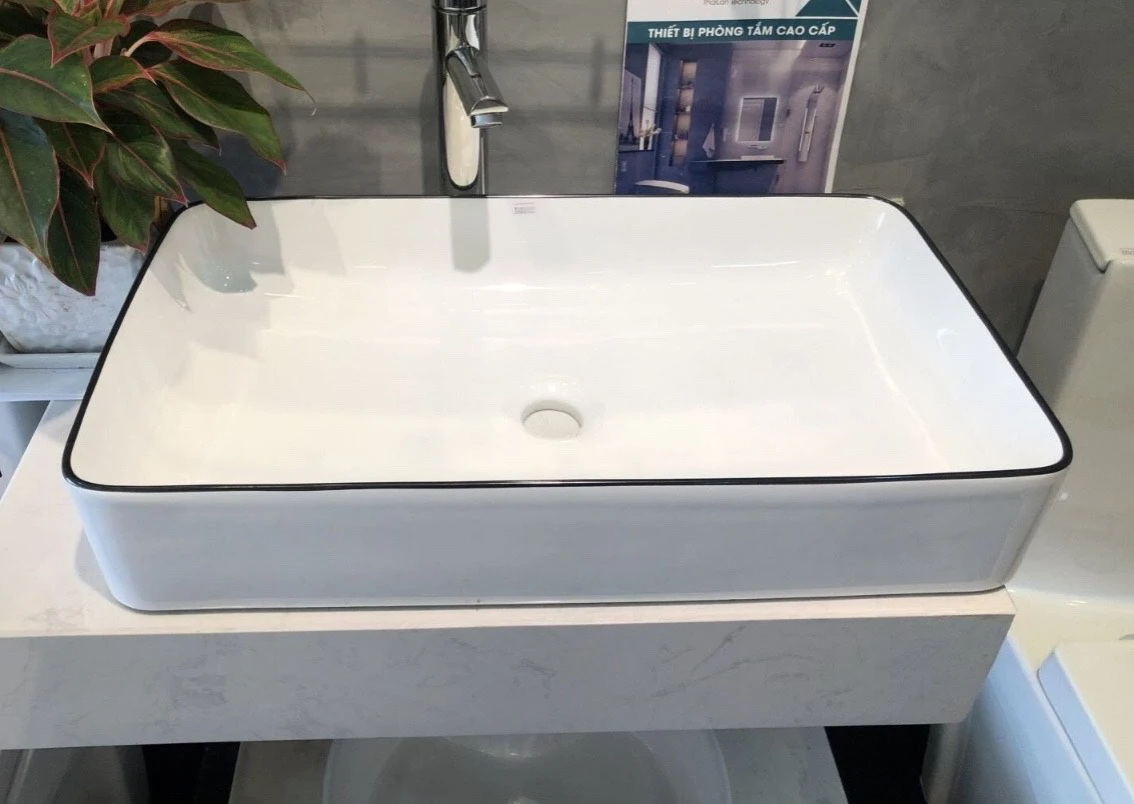 Tô Lavabo Sứ Roland TS14