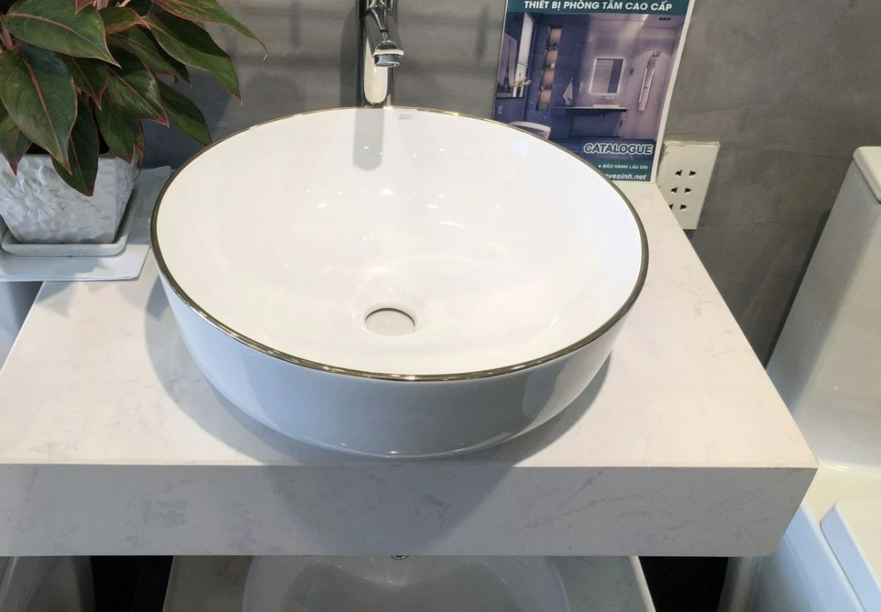 Tô Lavabo Sứ Roland TS08