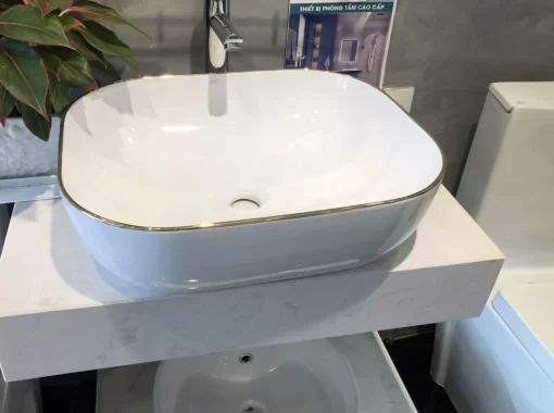 Tô Lavabo Sứ Roland TS09 - 5