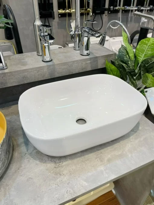 Tô Lavabo Sứ Roland TS12 - 5
