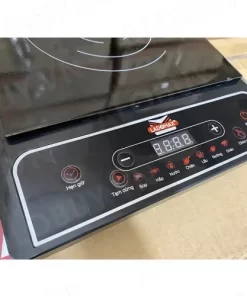 Bếp điện từ cao cấp Ladomax HA-667 - 26 Bếp điện từ cao cấp Ladomax HA-667 - 25