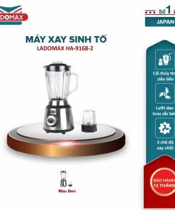 Máy xay sinh tố 2 cối Ladomax HA-9168-2 - 17