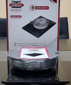 Bếp điện từ cao cấp Ladomax HA-662 - 21