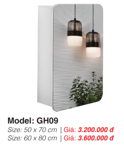 Tủ Gương Roland GH09 60×80 - 10 Tủ Gương Roland GH09 60×80 - 9