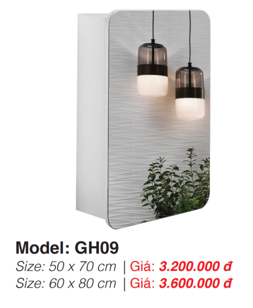 Tủ Gương Roland GH09 60×80 - 5
