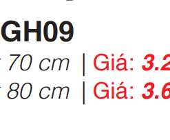 Tủ Gương Roland GH09 60×80 - 8 Tủ Gương Roland GH09 60×80 - 7