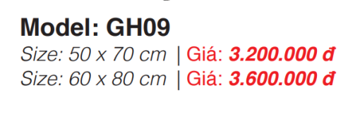 Tủ Gương Roland GH09 60×80 - 3