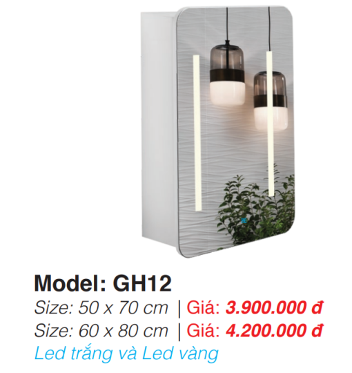 Tủ Gương Roland GH12 50×70 - 3