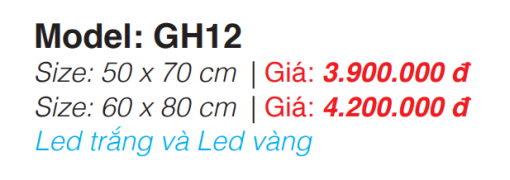 Tủ Gương Roland GH12 50×70 - 5